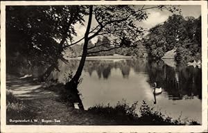 Bild des Verkufers fr Ansichtskarte / Postkarte Burgsteinfurt Steinfurt im Mnsterland, Bagno See zum Verkauf von akpool GmbH