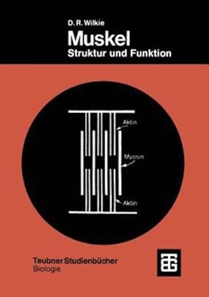 Seller image for Muskel: Struktur und Funktion (Teubner Studienbücher der Biologie) (German Edition) by Wilkie, Douglas Robert [Paperback ] for sale by booksXpress
