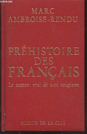 Bild des Verkufers fr Prhistoire des franais : Le roman vrai de nos origines zum Verkauf von Le-Livre