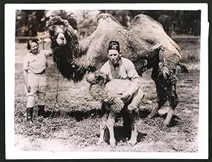 Photo Ansicht Los Angeles, CA, Charles B. Murphy von der Wild Animal Farm mit jungem Kamel