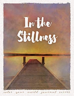 Bild des Verkufers fr In the Stillness [Soft Cover ] zum Verkauf von booksXpress