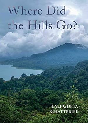 Seller image for Where Did the Hills Go [Soft Cover ] for sale by booksXpress
