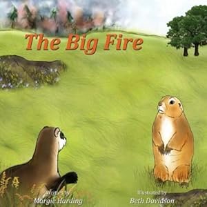 Seller image for The Big Fire [Soft Cover ] for sale by booksXpress