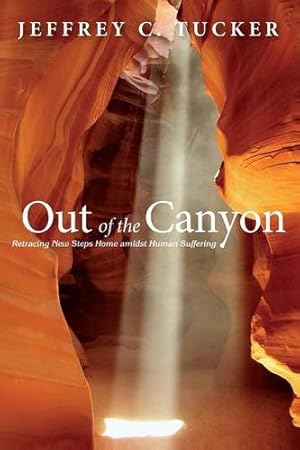 Bild des Verkufers fr Out of the Canyon: Retracing New Steps Home amidst Human Suffering [Soft Cover ] zum Verkauf von booksXpress