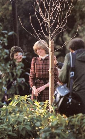 Princess Diana Plants A Tree 1981 Royal Family Postcard