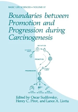 Seller image for Boundaries between Promotion and Progression during Carcinogenesis (Basic Life Sciences) [Paperback ] for sale by booksXpress