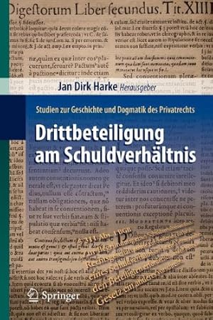 Seller image for Drittbeteiligung am Schuldverhältnis: Studien zur Geschichte und Dogmatik des Privatrechts (German Edition) [Paperback ] for sale by booksXpress