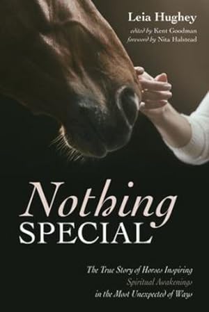 Seller image for Nothing Special [Hardcover ] for sale by booksXpress
