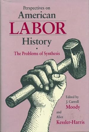 Bild des Verkufers fr Perspectives on American Labor History: The Problems of Synthesis [Paperback ] zum Verkauf von booksXpress