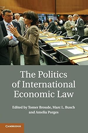 Seller image for The Politics of International Economic Law by Broude, Tomer [Paperback ] for sale by booksXpress