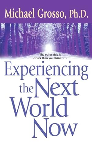 Imagen del vendedor de Experiencing the Next World Now by Grosso Ph.D., Michael [Paperback ] a la venta por booksXpress