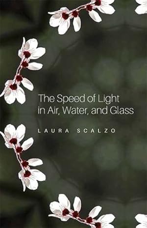 Immagine del venditore per The Speed of Light in Air, Water, and Glass by Scalzo, Laura [Paperback ] venduto da booksXpress