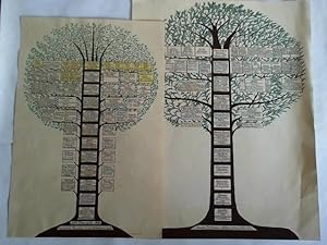 Zwei handgezeichnete Stammbäume: Schrader Dollberger - Weber Oelerse 1650 - 1945 / Planert 1600 -...