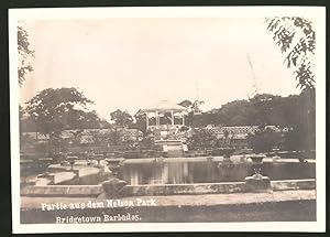 Photo Ansicht Bridgetown / Barbados, Partie im Nelson Park