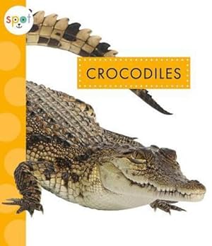 Image du vendeur pour Crocodiles (Spot African Animals) by Klukow, Mary Ellen [Paperback ] mis en vente par booksXpress