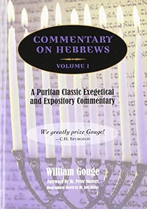 Immagine del venditore per Commentary on Hebrews: Exegetical & Expository - Vol. 1 (PB) [Soft Cover ] venduto da booksXpress