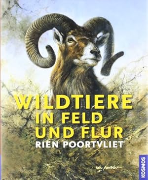 Wildtiere in Feld und Flur.