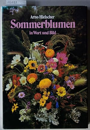 Seller image for Sommerblumen in Wort und Bild. for sale by Antiquariat hinter der Stadtmauer
