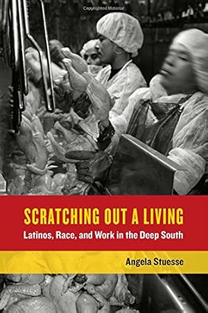 Imagen del vendedor de Scratching Out a Living: Latinos, Race, and Work in the Deep South (California Series in Public Anthropology) by Stuesse, Angela [Paperback ] a la venta por booksXpress