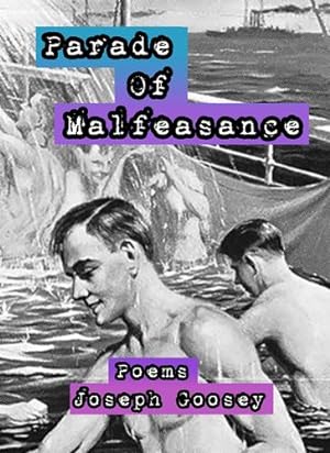 Bild des Verkufers fr Parade of Malfeasance by Goosey, Joseph [Paperback ] zum Verkauf von booksXpress
