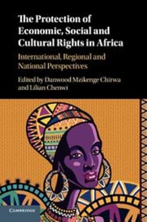 Seller image for The Protection of Economic, Social and Cultural Rights in Africa: International, Regional and National Perspectives [Paperback ] for sale by booksXpress