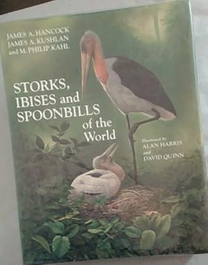 Bild des Verkufers fr Storks, Ibises, and Spoonbills of the World zum Verkauf von Chapter 1