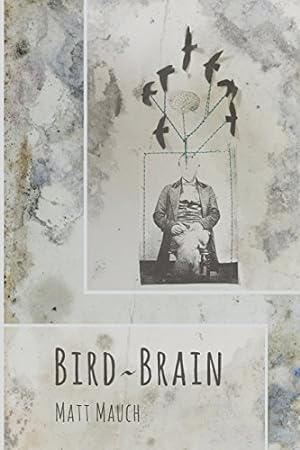 Seller image for Bird Brain by Mauch, Matt [Paperback ] for sale by booksXpress