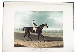 Image du vendeur pour Portraits of the winning horses of the Great St. Leger Stakes, at Doncaster, from the year 1815 to the present year inclusive. London, S. and J. Fuller (printed by L. Harrison), [1828]. Imperial folio (6042 cm). With engraved vignette on the letterpress title-page, 14 hand-coloured aquatint plates by T. Sutherland and R. G. Reeve after Herring, each with information on a separate letterpress leaf. Contemporary plain boards with publisher's printed label wrapper-title on front board (rebacked with burgundy half morocco and matching corners). mis en vente par Antiquariaat FORUM BV