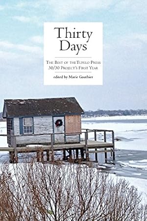 Seller image for Thirty Days [Paperback ] for sale by booksXpress