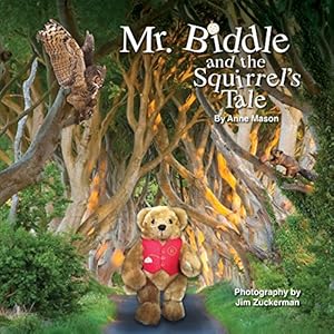 Seller image for Mr. Biddle and the Squirrel's Tale by Mason, Anne [Paperback ] for sale by booksXpress
