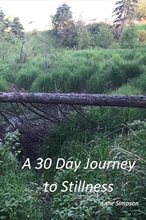 Seller image for A 30 Day Journey to Stillness by Simpson, Anne [Paperback ] for sale by booksXpress