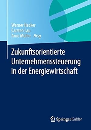 Immagine del venditore per Zukunftsorientierte Unternehmenssteuerung in der Energiewirtschaft (German Edition) [Paperback ] venduto da booksXpress