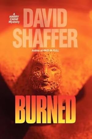 Seller image for Burned by David L. Shaffer [Paperback ] for sale by booksXpress