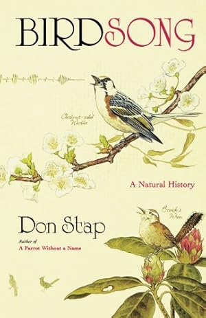 Seller image for Birdsong by Stap, Don [Paperback ] for sale by booksXpress