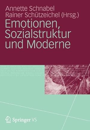 Immagine del venditore per Emotionen, Sozialstruktur und Moderne (German Edition) [Paperback ] venduto da booksXpress