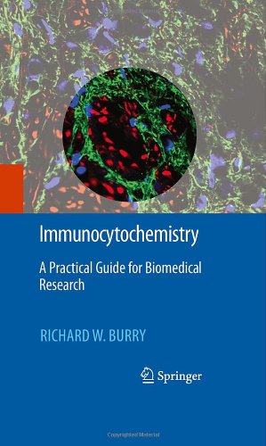 Seller image for Immunocytochemistry: A Practical Guide for Biomedical Research by Burry, Richard W. [Hardcover ] for sale by booksXpress