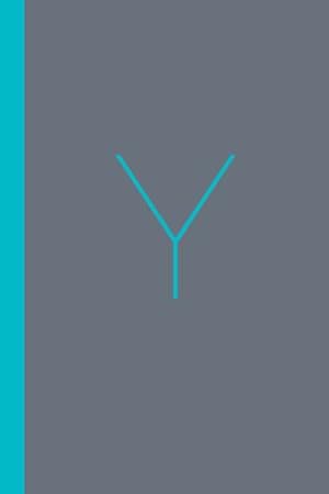 Imagen del vendedor de Y, the Workbook: A Practical Companion to y - Christian Millennial Manifesto by Best, Joshua [Paperback ] a la venta por booksXpress