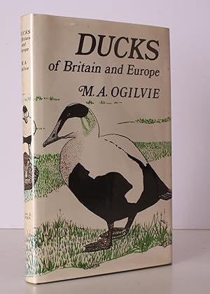 Imagen del vendedor de Ducks of Britain and Europe. Illustrated by Carol Ogilvie. NEAR FINE COPY IN UNCLIPPED DUSTWRAPPER a la venta por Island Books