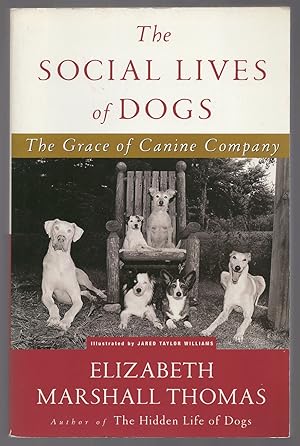 Seller image for The Social Lives of Dogs: The Grace of Canine Company for sale by Between the Covers-Rare Books, Inc. ABAA