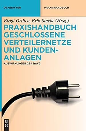 Immagine del venditore per Praxishandbuch Geschlossene Verteilernetze Und Kundenanlagen (de Gruyter Praxishandbuch) (German Edition) [Hardcover ] venduto da booksXpress