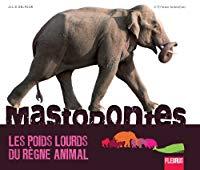 Bild des Verkufers fr Mastodontes : Les Poids Lourds Du Rgne Animal zum Verkauf von RECYCLIVRE