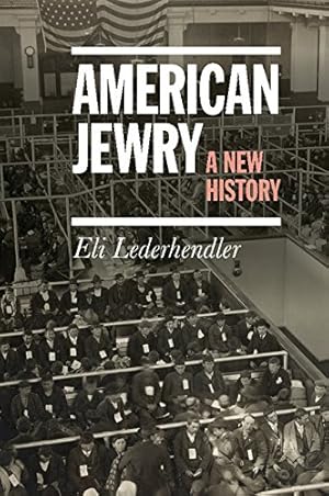 Seller image for American Jewry: A New History by Lederhendler, Eli [Paperback ] for sale by booksXpress