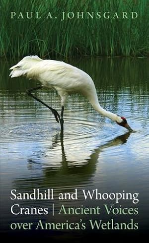 Seller image for Sandhill and Whooping Cranes: Ancient Voices over America's Wetlands by Johnsgard, Paul A. [Paperback ] for sale by booksXpress