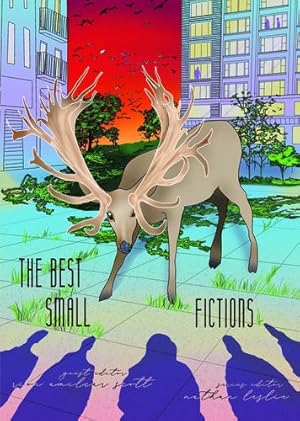 Imagen del vendedor de The Best Small Fictions: 2019 Anthology [Paperback ] a la venta por booksXpress