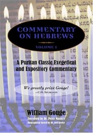 Immagine del venditore per COMMENTARY ON HEBREWS: Exegetical and Expository - Vol. 1 (Heb. 1-7) [Hardcover ] venduto da booksXpress