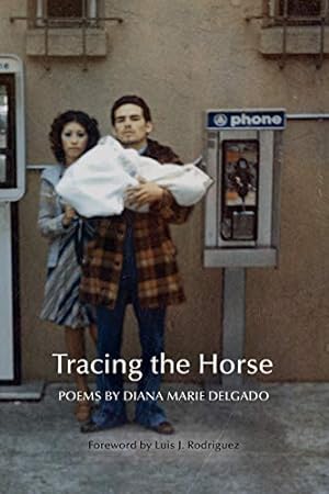 Seller image for Tracing the Horse [Hardcover ] for sale by booksXpress