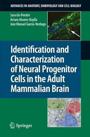 Immagine del venditore per Identification and Characterization of Neural Progenitor Cells in the Adult Mammalian Brain (Advances in Anatomy, Embryology and Cell Biology) by Gil-Perotín, Sara, Alvarez-Buylla, Arturo, Garcia-Verdugo, Jose Manuel [Paperback ] venduto da booksXpress