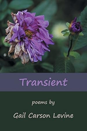 Seller image for Transient by Levine, Gail Carson [Paperback ] for sale by booksXpress