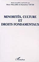 Immagine del venditore per Minorits, Culture Et Droits Fondamentaux venduto da RECYCLIVRE