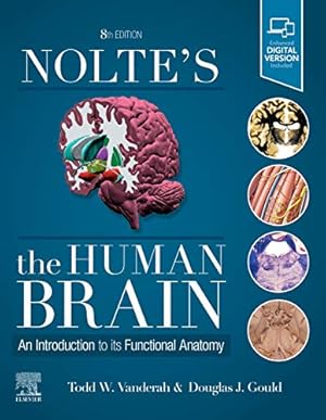 Seller image for Nolte's The Human Brain: An Introduction to its Functional Anatomy by Vanderah PhD, Todd, Gould PhD, Douglas J [Paperback ] for sale by booksXpress